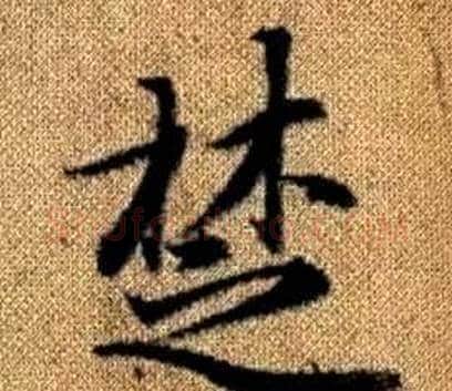 楚字王铎毛笔楷书书法写法,摘自真草千字文