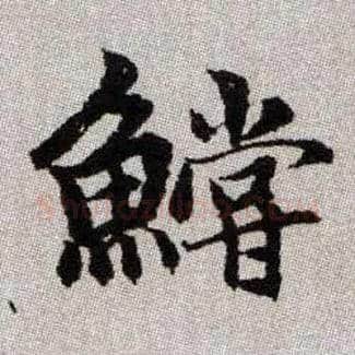 鱨毛笔楷书写法,摘自元赵孟頫续千字文