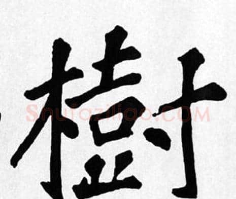 樹字苏轼毛笔楷书写法,摘自苏轼毛笔楷书作品