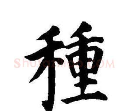 種字董其昌毛笔楷书书法写法,摘自东方朔画像碑赞卷
