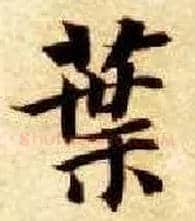 叶毛笔楷书写法,摘自隋智永真草千字文