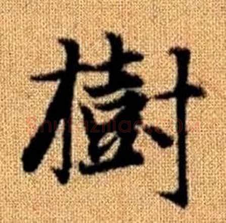 樹字赵孟頫毛笔楷书写法,摘自真草千字文