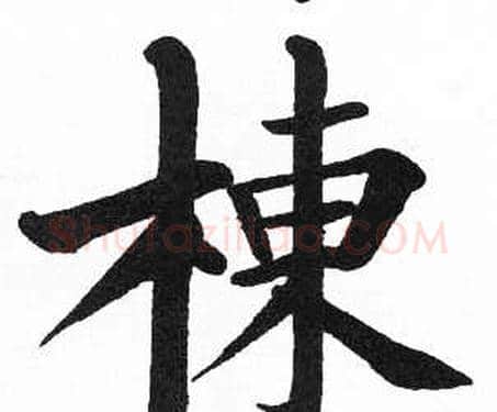 棟字启功毛笔楷书书法写法,摘自临明初拓玄秘塔碑