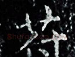 苻字王羲之毛笔小楷写法,摘自王羲之毛笔小楷作品