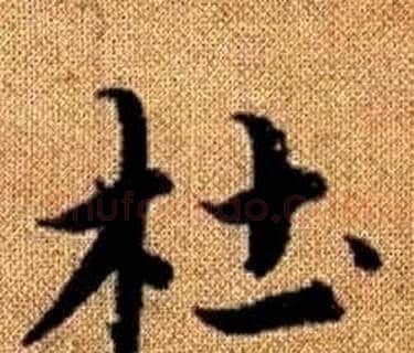 杜字王铎毛笔楷书书法写法,摘自真草千字文