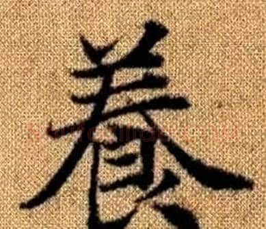 養字王铎毛笔楷书书法写法,摘自真草千字文
