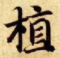 植毛笔楷书写法,摘自隋智永真草千字文