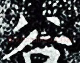 谷字王羲之毛笔小楷写法,摘自王羲之毛笔小楷作品
