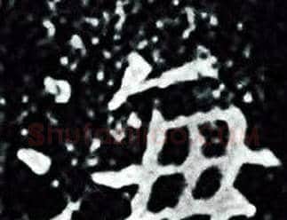 海字王羲之毛笔小楷写法,摘自王羲之毛笔小楷作品
