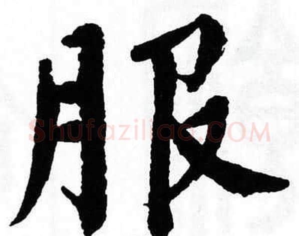 服字翁闿运毛笔楷书书法写法,摘自翁闿运毛笔楷书书法作品