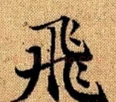 飛字王铎毛笔楷书书法写法,摘自真草千字文