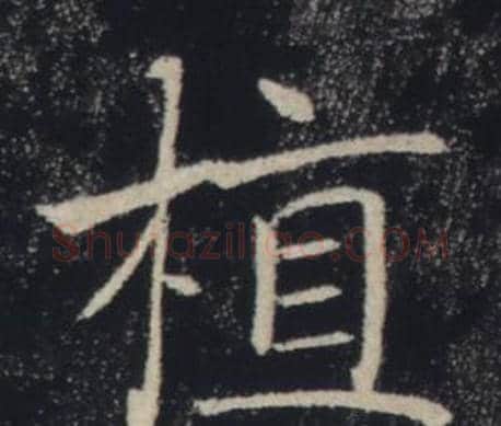植字褚遂良毛笔楷书书法写法,摘自雁塔圣教序