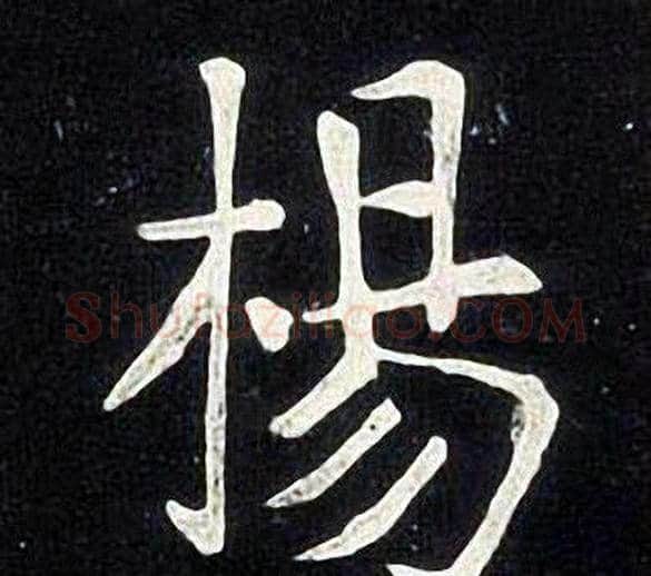 楊字张旭毛笔楷书书法写法,摘自张旭毛笔楷书书法作品
