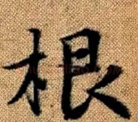 根字王铎毛笔楷书书法写法,摘自真草千字文