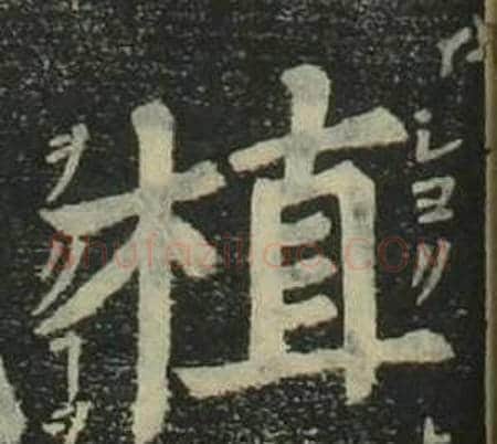 植字姜立纲毛笔楷书书法写法,摘自四体千字文