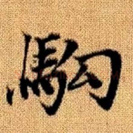 駒字赵孟頫毛笔楷书写法,摘自真草千字文