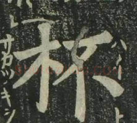 杯字姜立纲毛笔楷书书法写法,摘自四体千字文