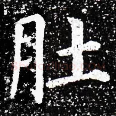 肚毛笔楷书写法,摘自集字集自史晨碑