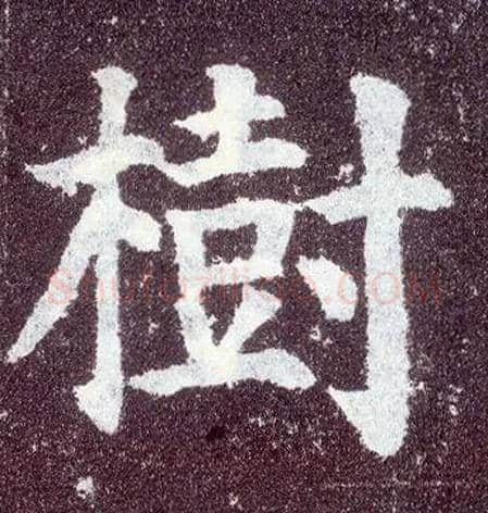 树毛笔楷书写法,摘自唐颜真卿多宝塔碑
