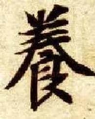 養毛笔楷书写法,摘自隋智永真草千字文