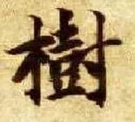 树毛笔楷书写法,摘自隋智永真草千字文