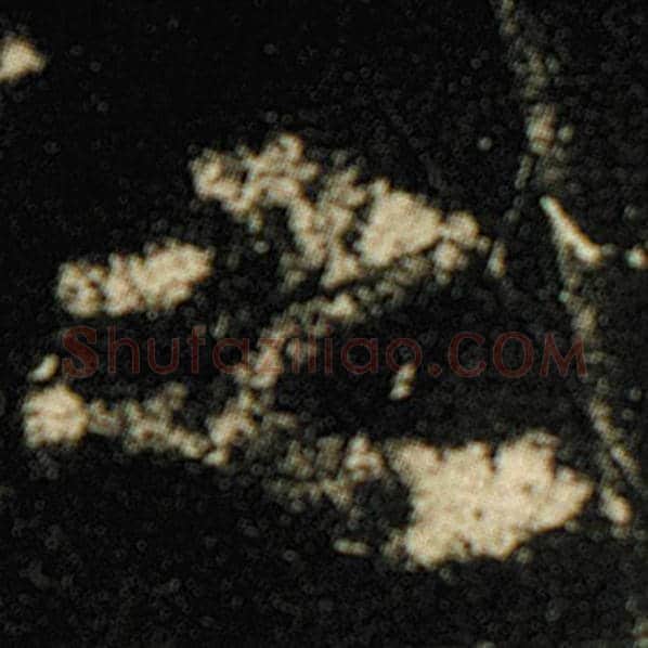 欧阳询毛笔楷书之字的写法,摘自欧阳询书法作品化度寺碑