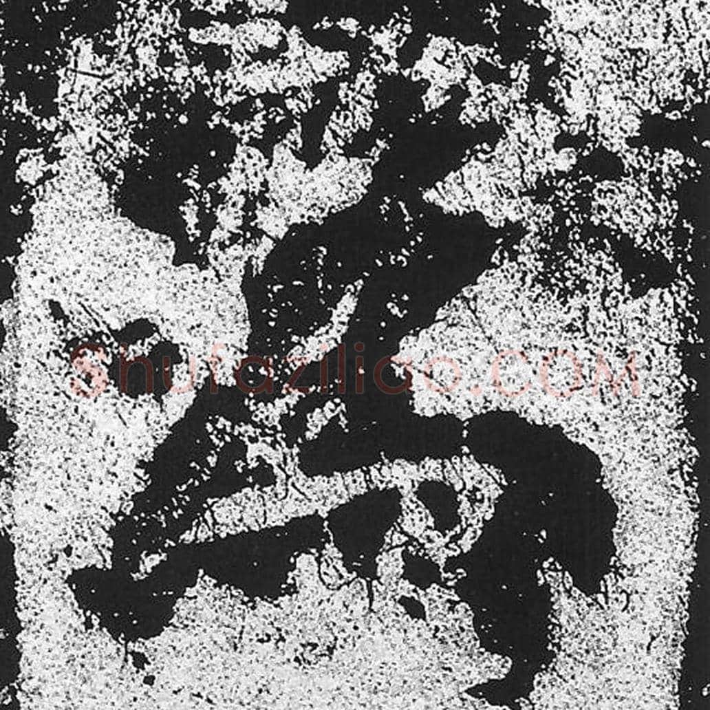 为毛笔魏碑写法，摘自：始平公造像记