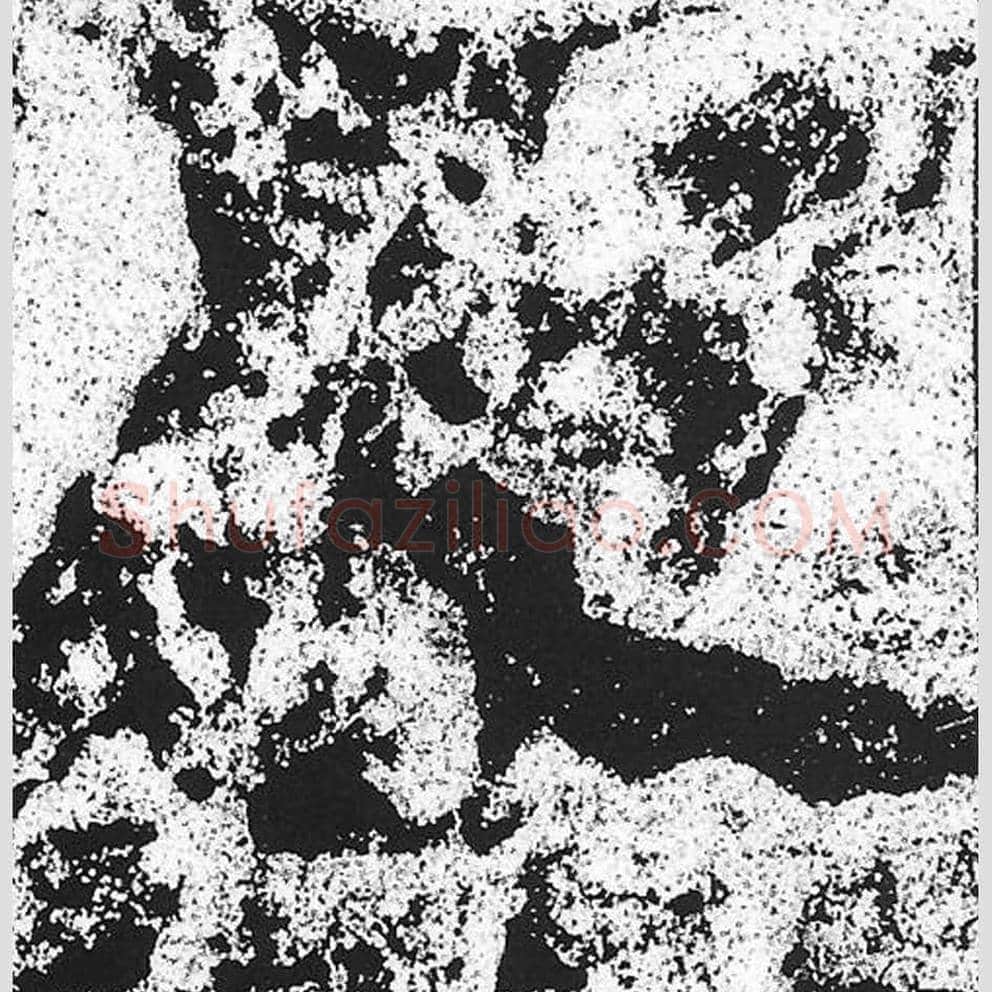 史毛笔魏碑写法，摘自：始平公造像记