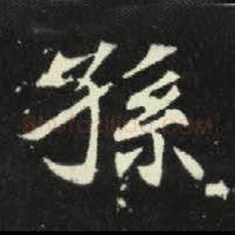 孙毛笔魏碑写法，摘自：元倪墓志