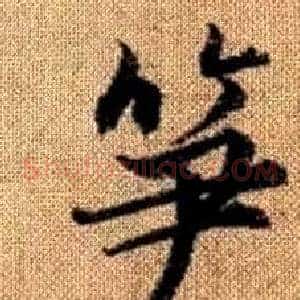 笋