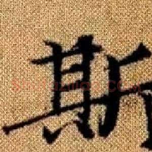 斯