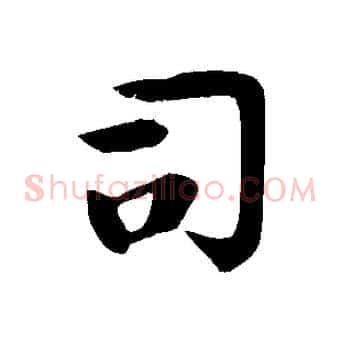 司