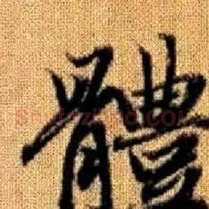 體
