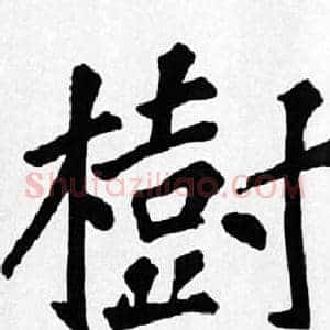 樹