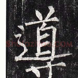 導