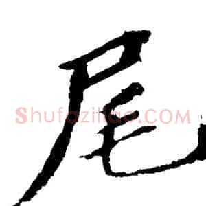 尾