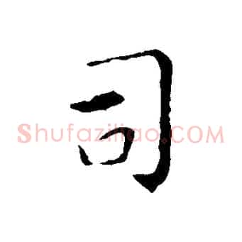 司