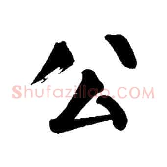 公