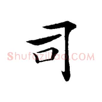 司