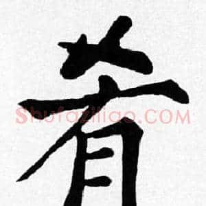 肴
