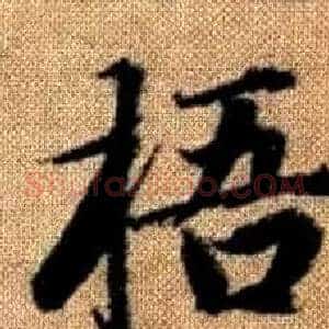 梧