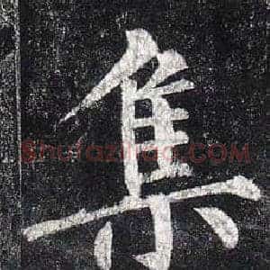 集