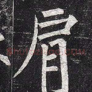 肩