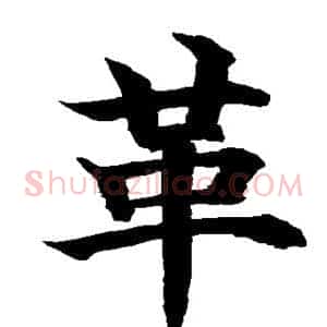 革