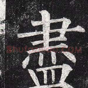 盡