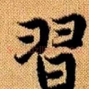 習