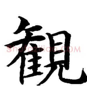 观
