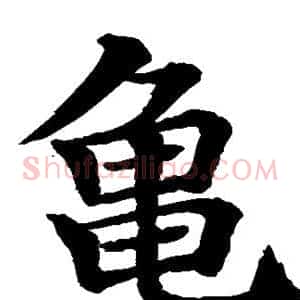 龟