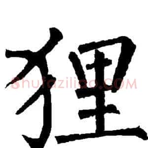 狸