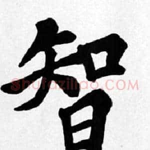 智